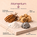 MOMENTUM