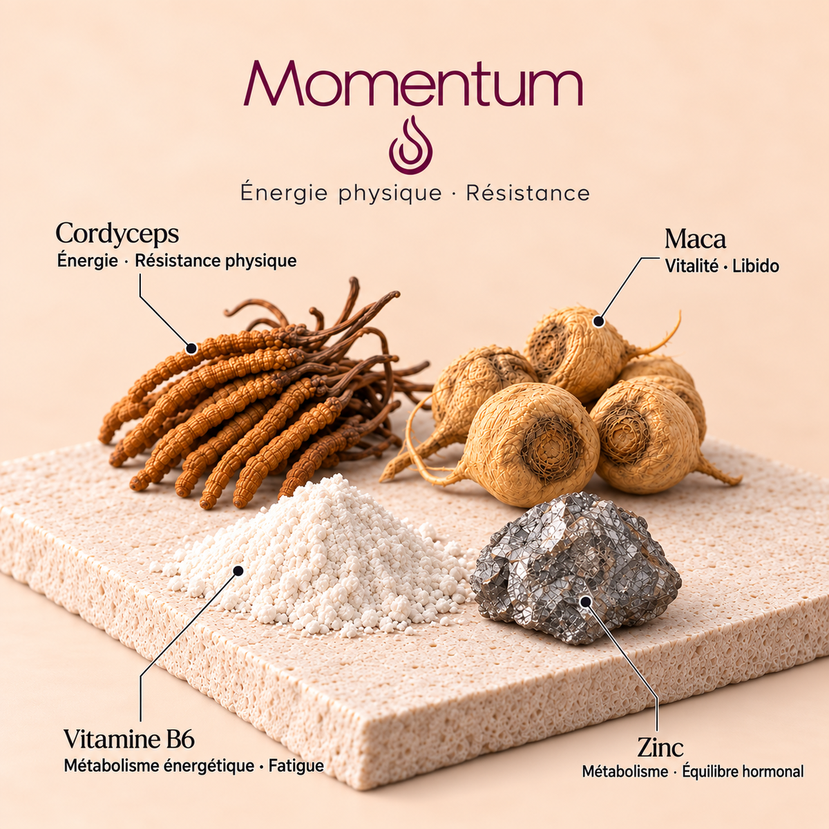 MOMENTUM