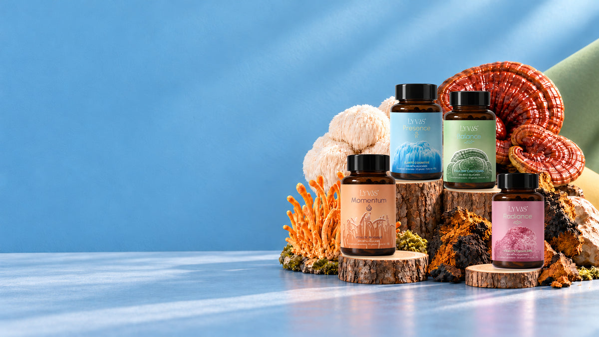 Les quatre formules LYVAS avec leurs étiquettes originales complètes, leurs champignons et des socles en bois sur fond bleu.