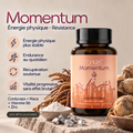 MOMENTUM